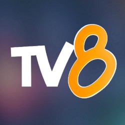 TV8 Moselle-Est chaîne de télévision et réseaux