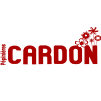 Cardon Dominique jardinerie, végétaux et article de jardin (détail)