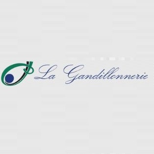 Centre Gandillonnerie Post-Cure pour Malades Alcooliques clinique médicale