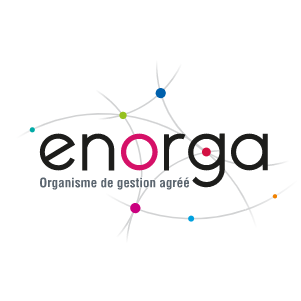 Enorga conseil en organisation, gestion management