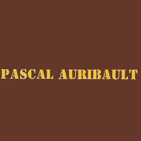 Auribault Pascal peintre (artiste)