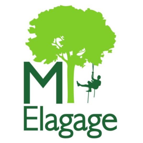 M élagage - Mickaël EMORINE arboriculture et production de fruits