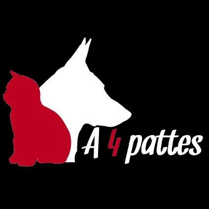 A 4 Pattes élevage de chiens, de chats