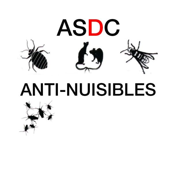 ASDC Anti Nuisibles désinfection, désinsectisation et dératisation