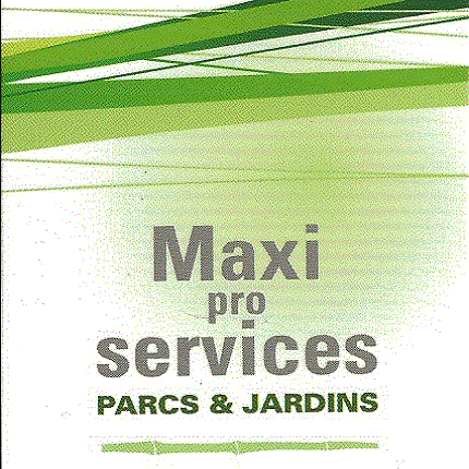 MAXI PRO SERVICES