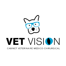 Vet Vision vétérinaire