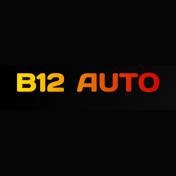 B 12 Auto voiture d'occasion