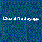 Cluzel Nettoyage nettoyage vitres