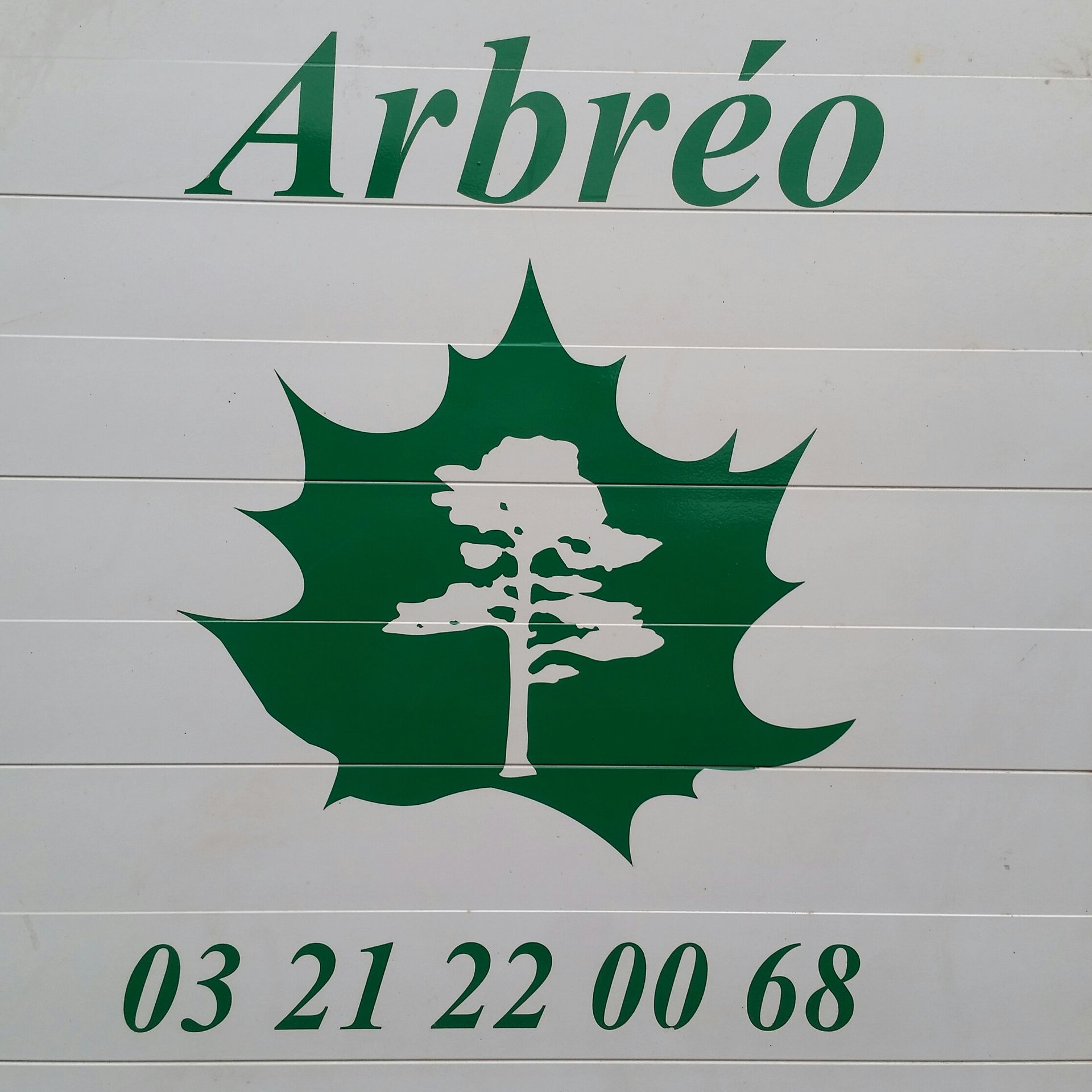 Arbreo arboriculture et production de fruits