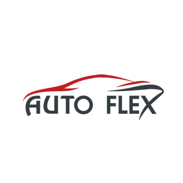 Auto Flex exploitation de parking