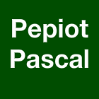 TP Pepiot Pascal entrepreneur paysagiste