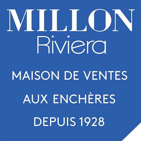 Millon conseil départemental