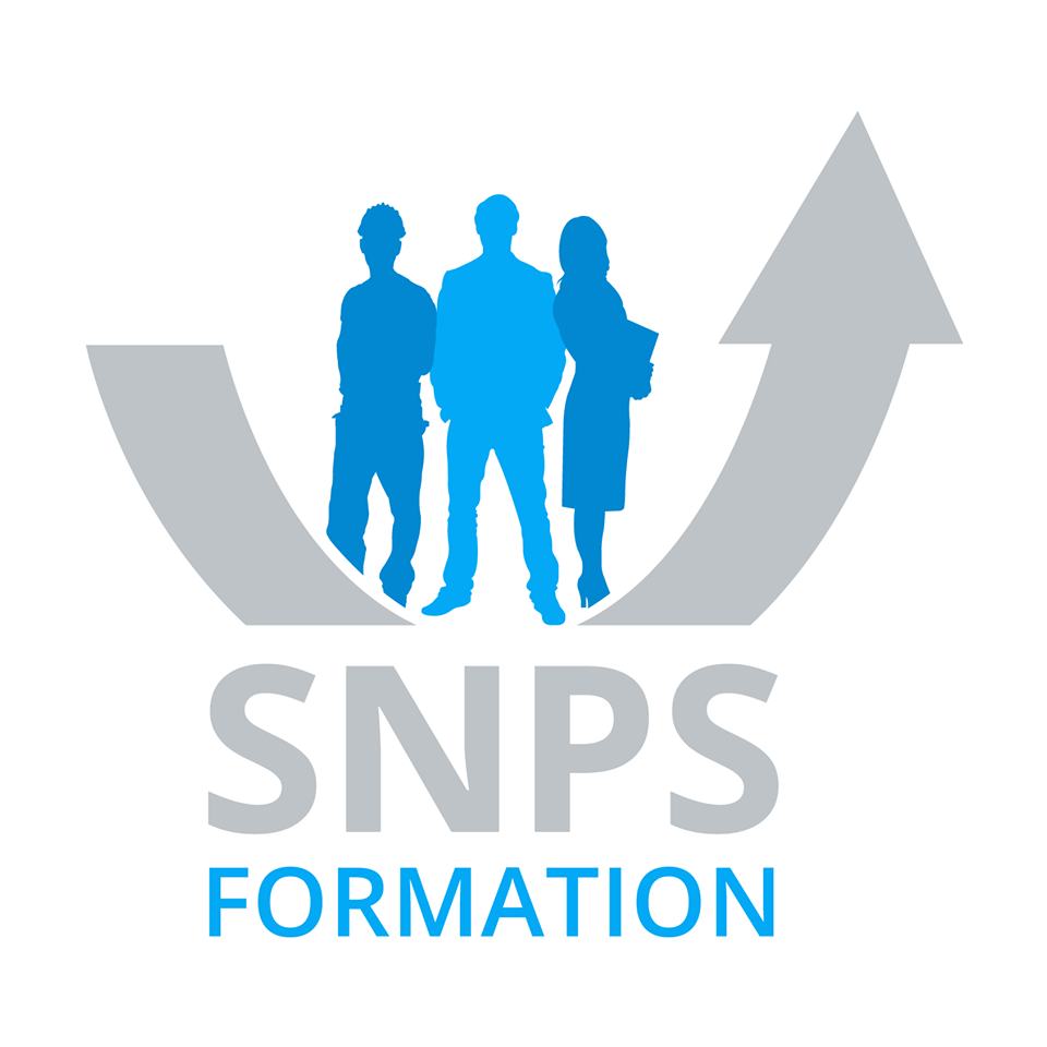 SNPS Formation formation continue