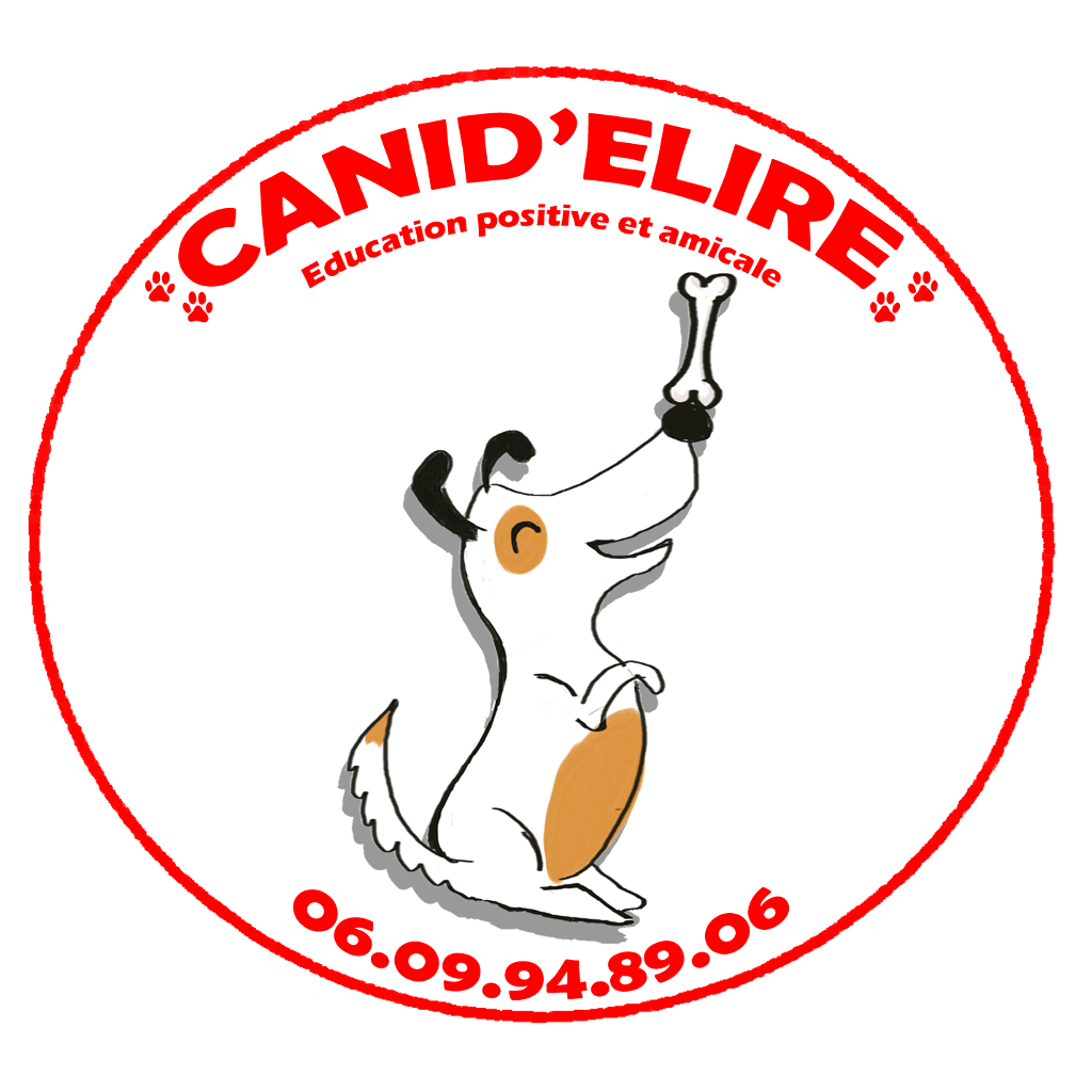 Canid'élire - Education positive dressage animal