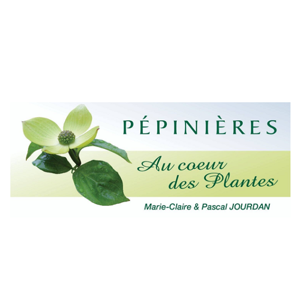 Au Coeur Des Plantes