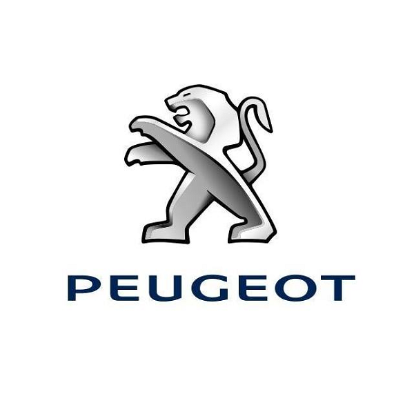 Peugeot De Ronchi SARL garage d'automobile, réparation