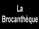 Brocanthèque