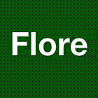 Flore EURL fleuriste