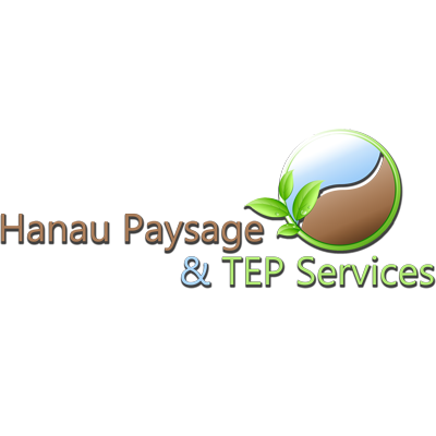 TEP Services