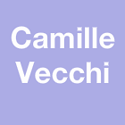 Vecchi Camille infirmier, infirmière (cabinet, soins à domicile)