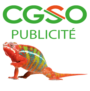 C.G.S.O Publicité SARL sérigraphie