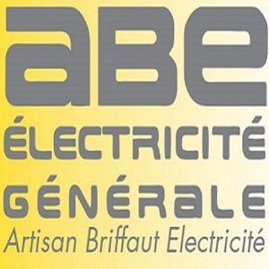 Artisan Briffaut Electricité électricité générale (entreprise)