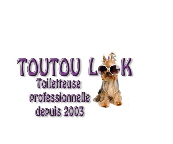 Toutou Look toilettage de chien et chat