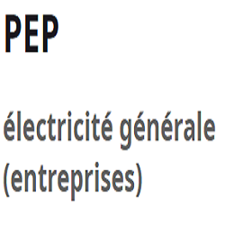 PEP électricité (production, distribution, fournitures)