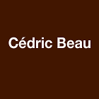 Beau Cédric électricité (production, distribution, fournitures)