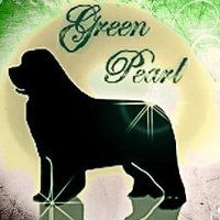 Domaine Green Pearl dressage animal
