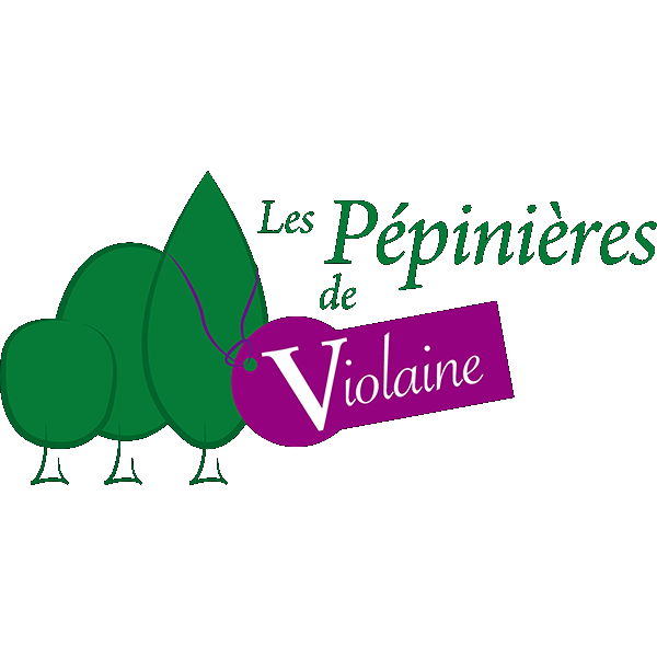 Les Pépinières De Violaine