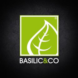 Basilic & Co restaurant