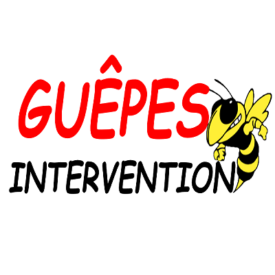 Guêpes Intervention désinfection, désinsectisation et dératisation