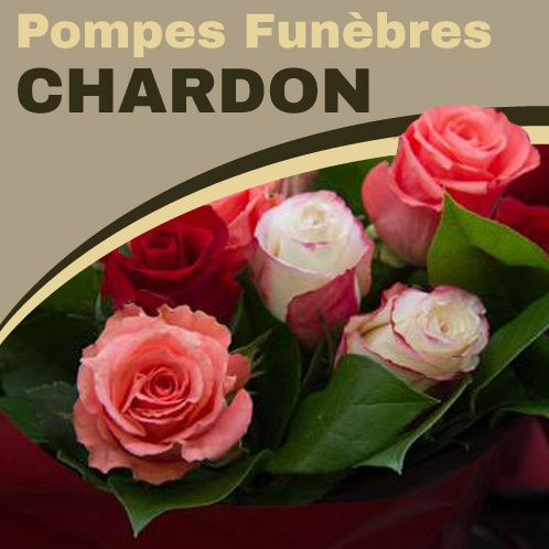 Pompes Funèbres Chardon Bethoncourt pompes funèbres, inhumation et crémation (fournitures)