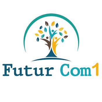 Futur Com 1 SARL conseil en organisation, gestion management