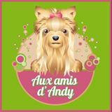 Aux Amis D Andy animalerie (fabrication, vente en gros de matériel, fournitures)