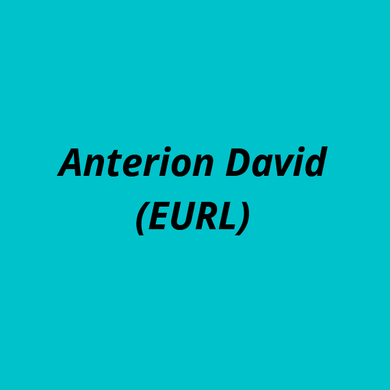 Anterion David