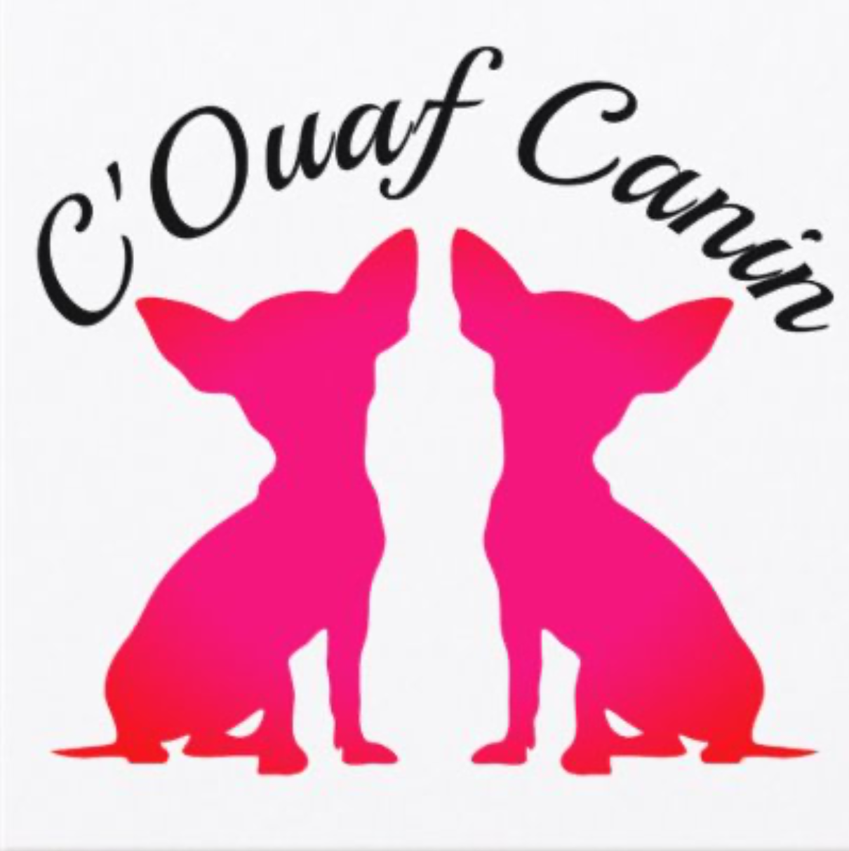 C'Ouaf Canin toilettage de chien et chat