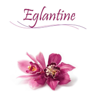 Eglantine institut de beauté