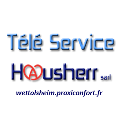 Télé Service Hausherr Sarl dépannage d'électroménager