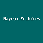 BAYEUX ENCHERES SARL vente aux enchères publiques 