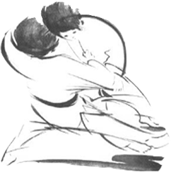 MSD Judo