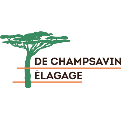 DE CHAMPSAVIN ELAGAGE entrepreneur paysagiste