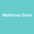 Mehiaoui Driss