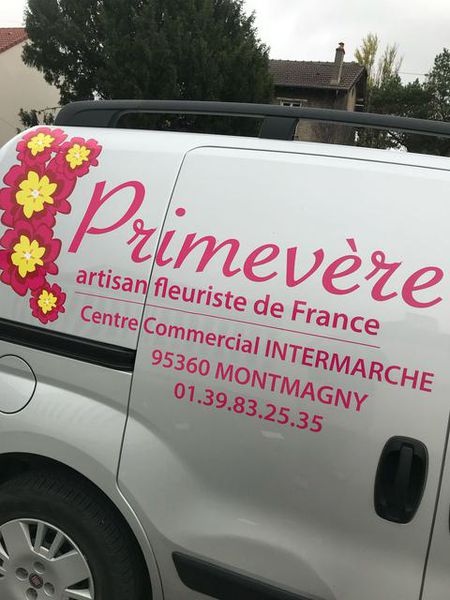 Primevère Fleuriste fleuriste