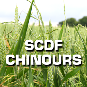 SCDF Chinours administration de l'Agriculture