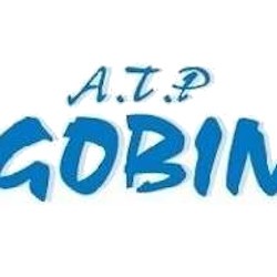 ATP Gobin taxi