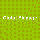 Ciotat Elagage