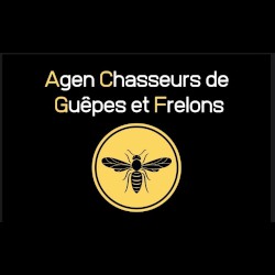 Agen Chasseurs de Guêpes et Frelons à Estillac désinfection, désinsectisation et dératisation