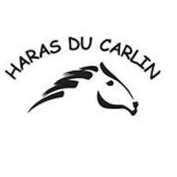 HARAS DU CARLIN haras, élevage de chevaux